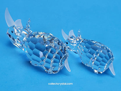 Rhino RHINOCEROS Family 117900 & 151521 Set