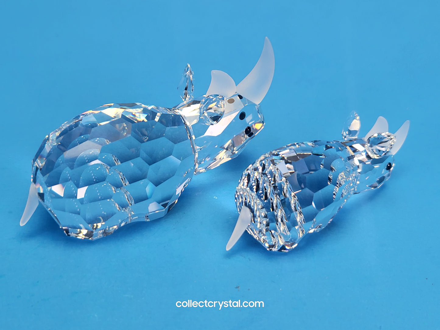 Rhino RHINOCEROS Family 117900 & 151521 Set