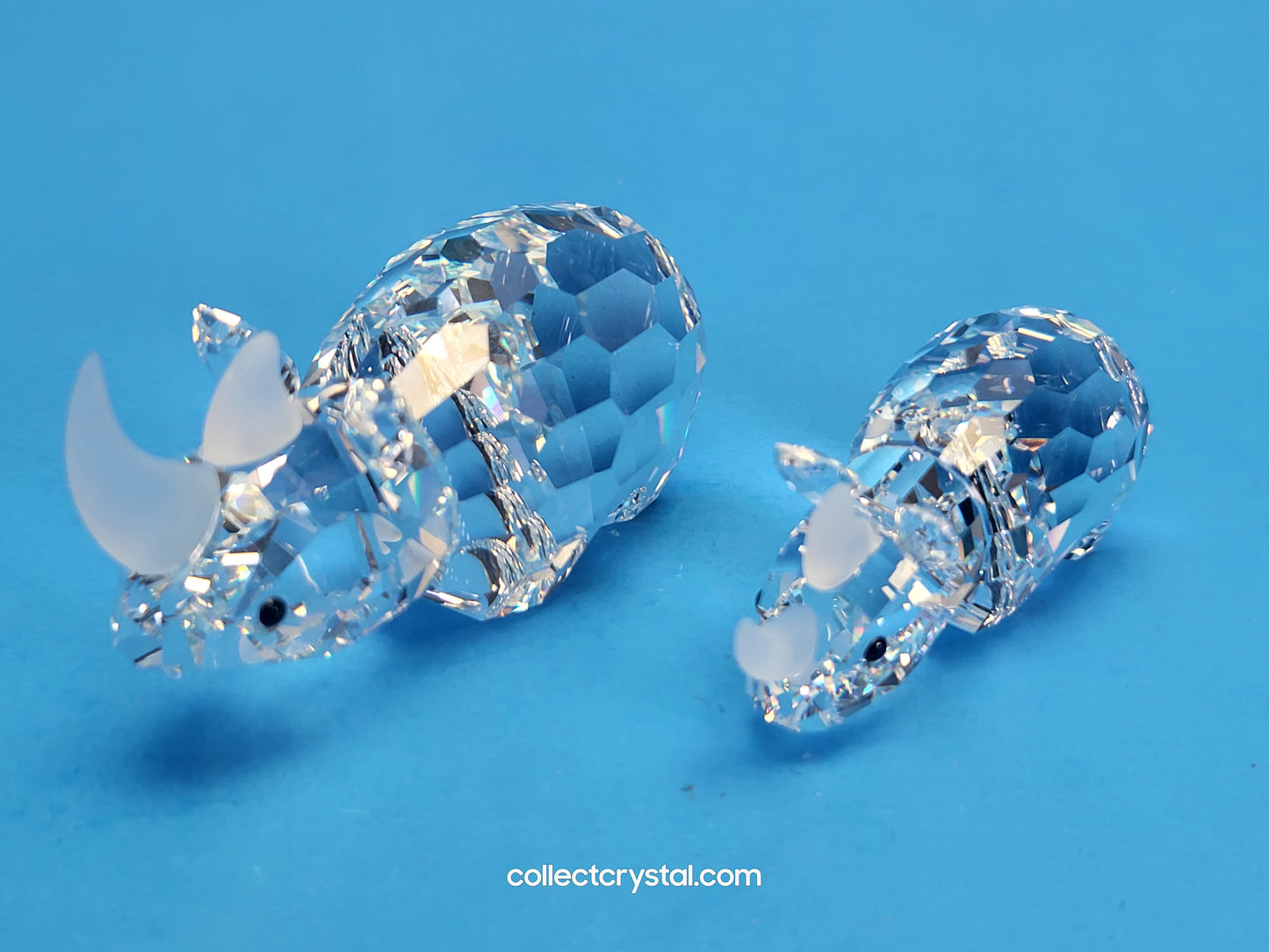 Rhino RHINOCEROS Family 117900 & 151521 Set