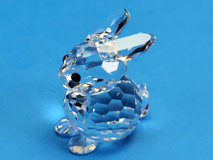 RABBIT MINI SITTING 014849