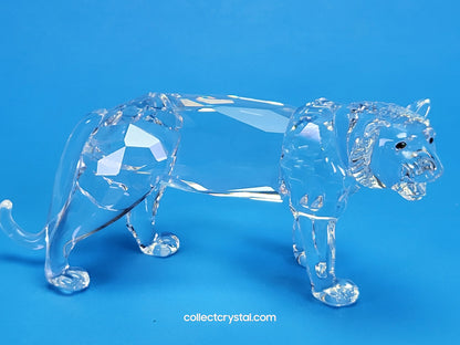 Tiger Cat Lion # 220470