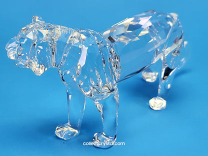 Tiger Cat Lion # 220470