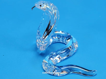 COBRA SNAKE 243979
