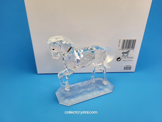 STALLION ARABIAN Horse # 221609