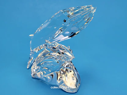 WHALES – SCS 1992 ANNUAL EDITION Care for Me # 164614