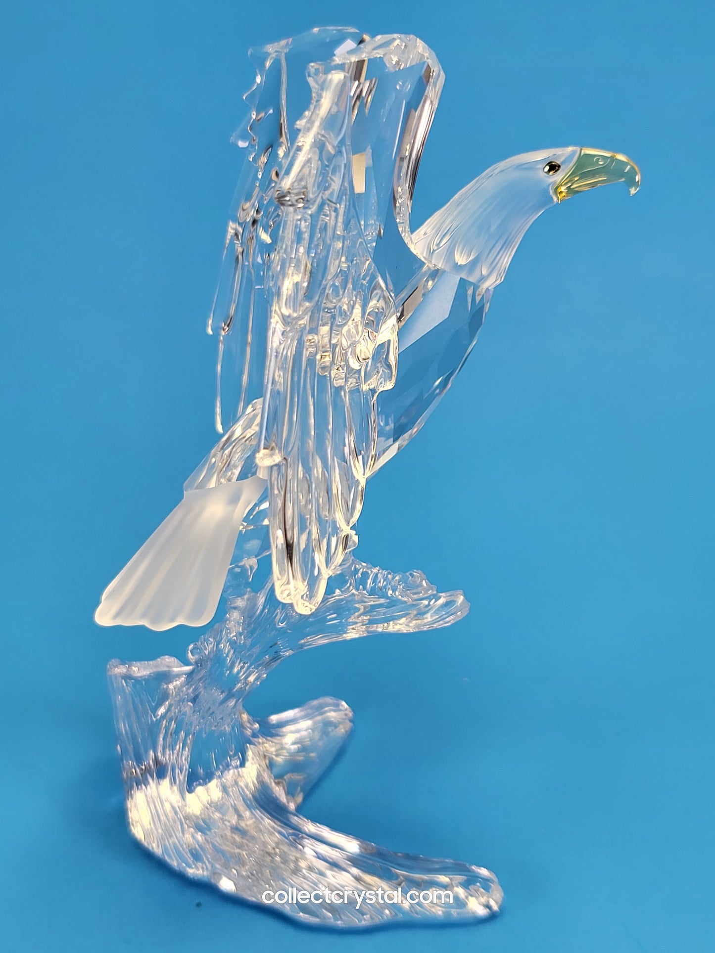 BALD EAGLE 248003