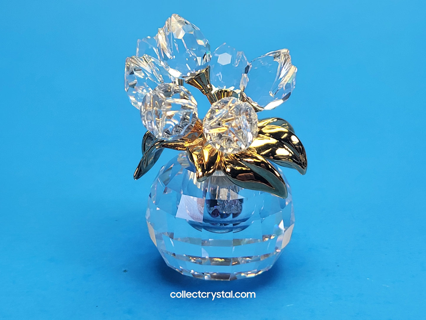SECRETS – TULIP FLACON 210824