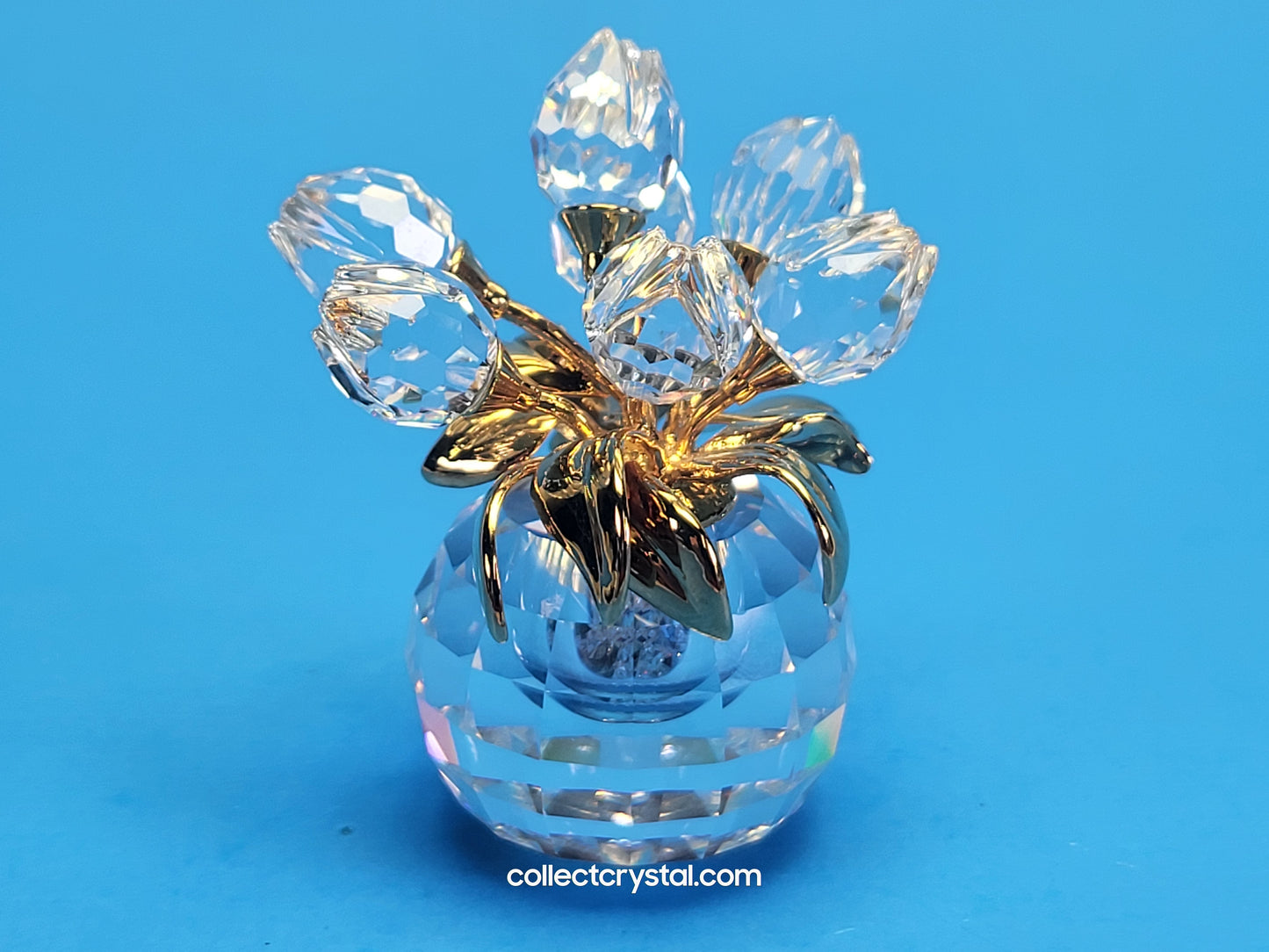 SECRETS – TULIP FLACON 210824