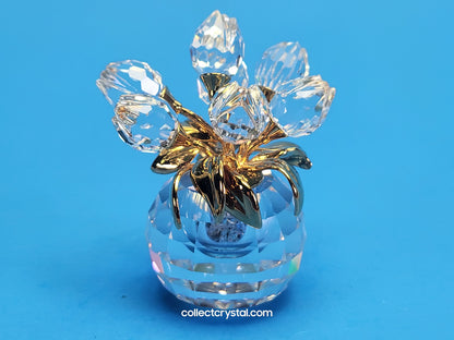 SECRETS – TULIP FLACON 210824
