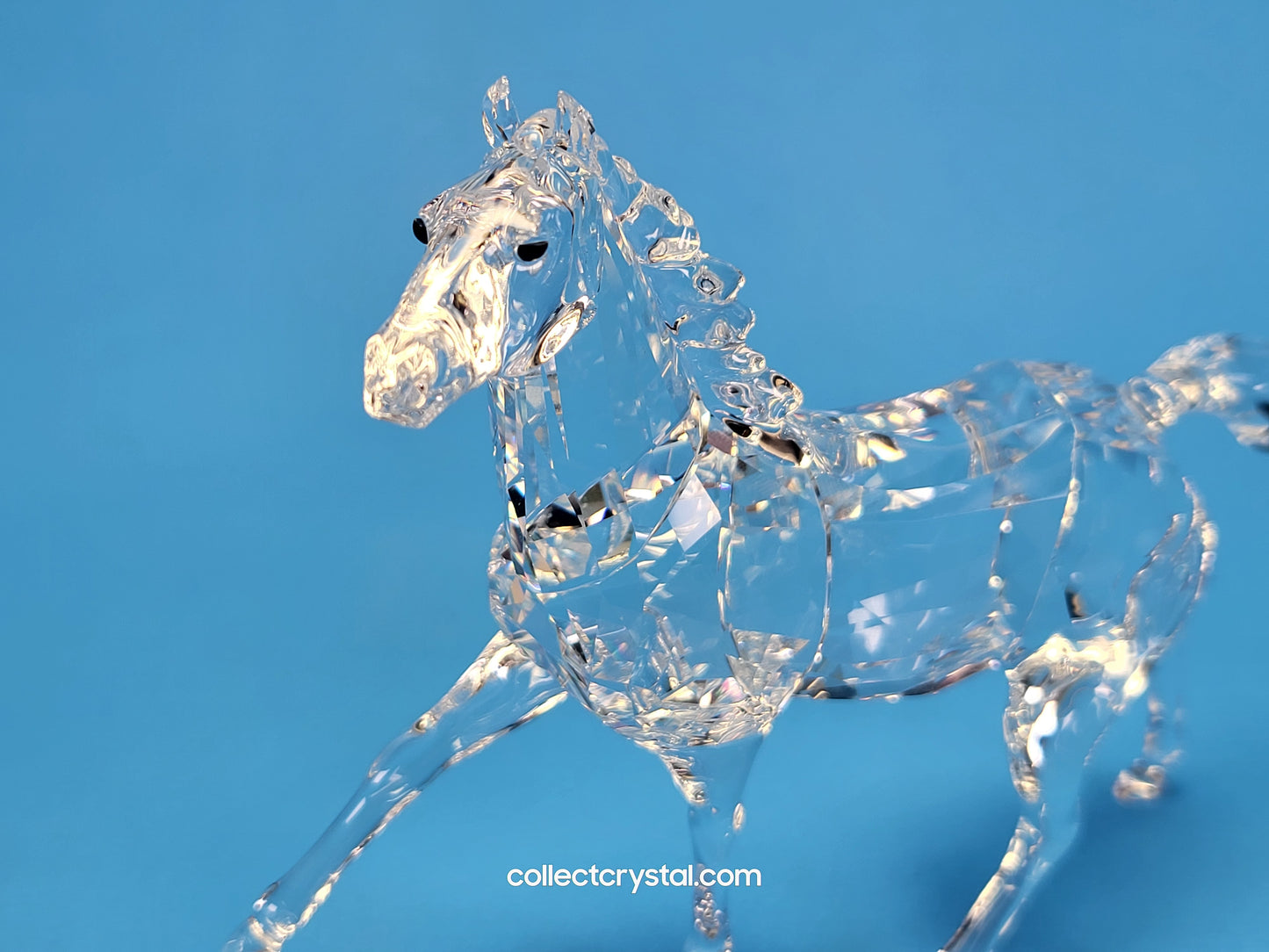 STALLION HORSE  FREE STANDING Running Mare # 5135910 No Sleeve