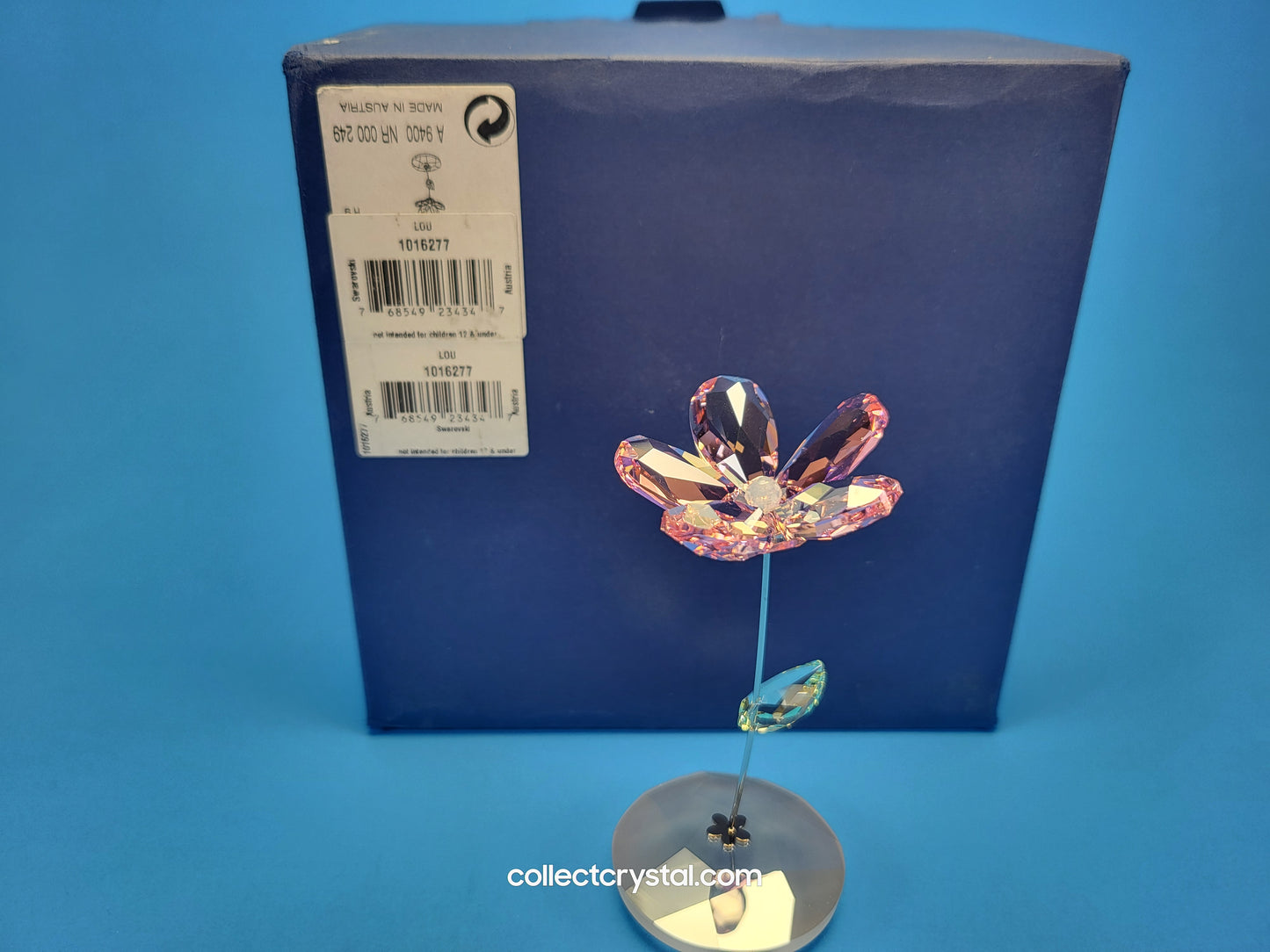 ROCKING FLOWER – LOU ROSE 1016277