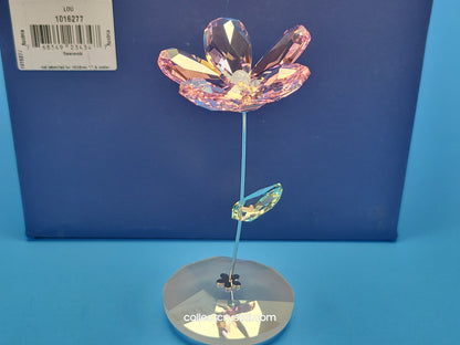 ROCKING FLOWER – LOU ROSE 1016277