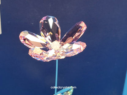 ROCKING FLOWER – LOU ROSE 1016277