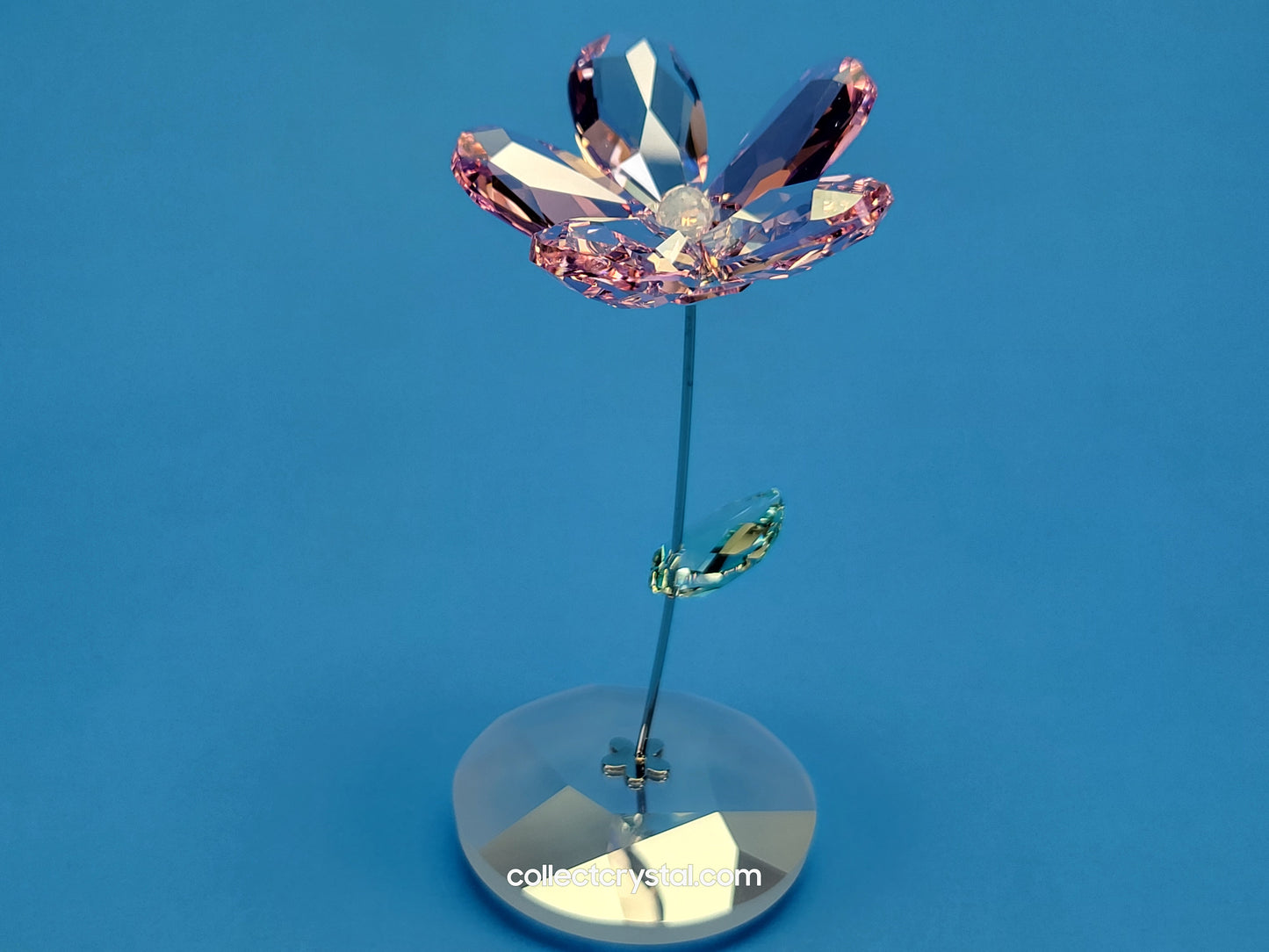 ROCKING FLOWER – LOU ROSE 1016277