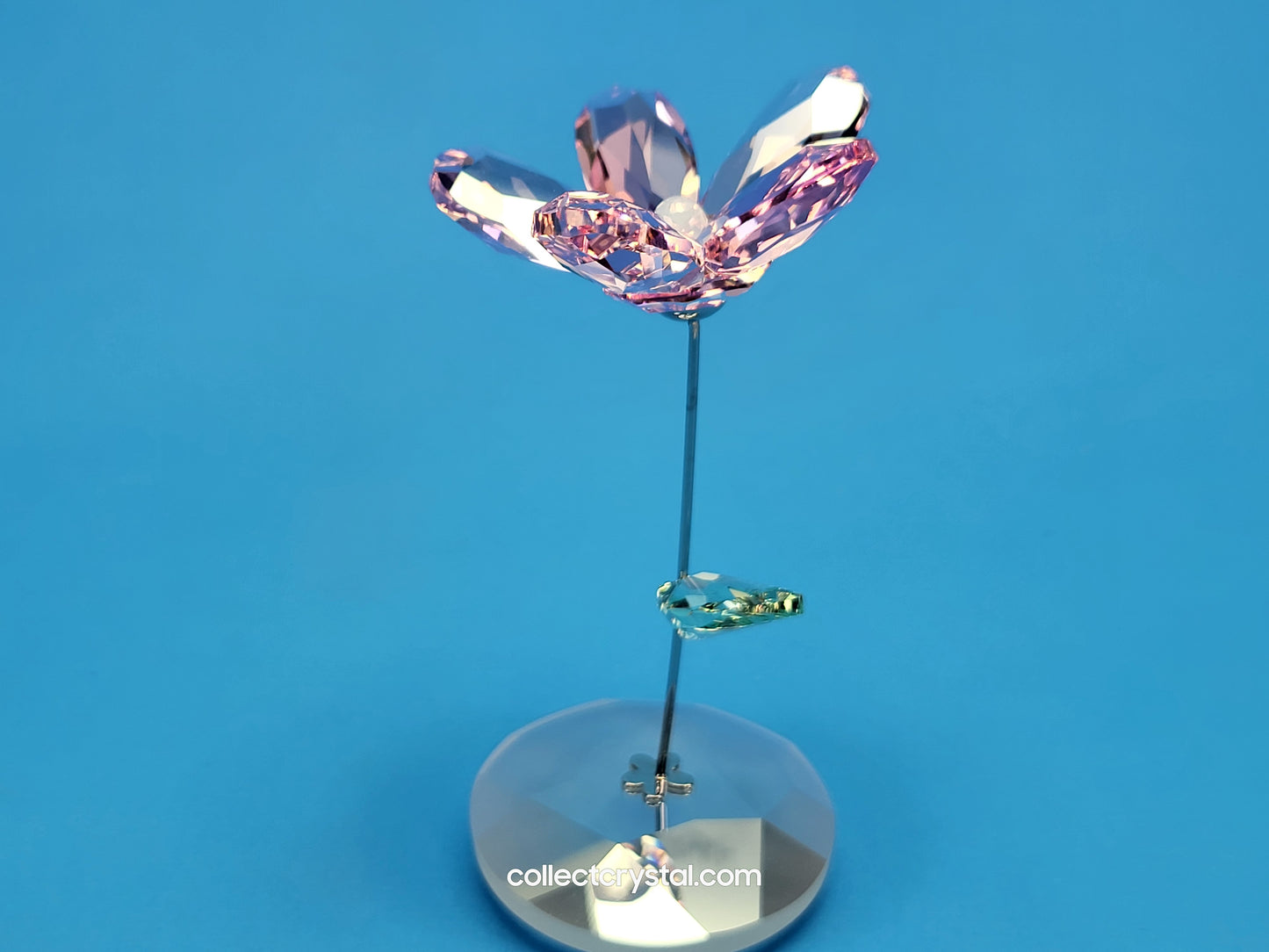 ROCKING FLOWER – LOU ROSE 1016277