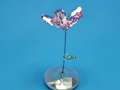 ROCKING FLOWER – LOU ROSE 1016277