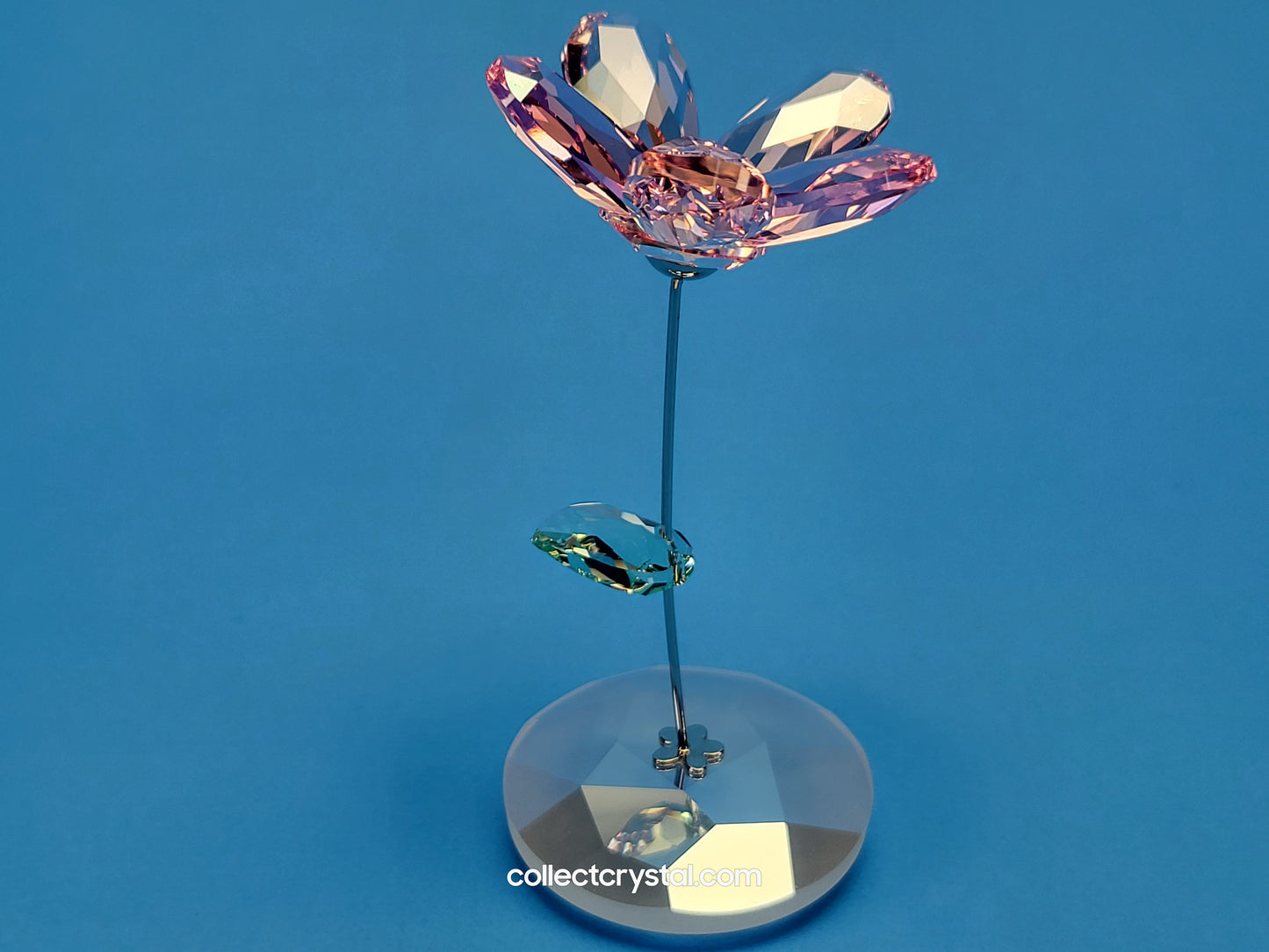 ROCKING FLOWER – LOU ROSE 1016277