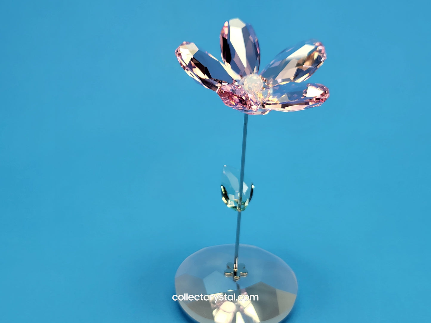 ROCKING FLOWER – LOU ROSE 1016277