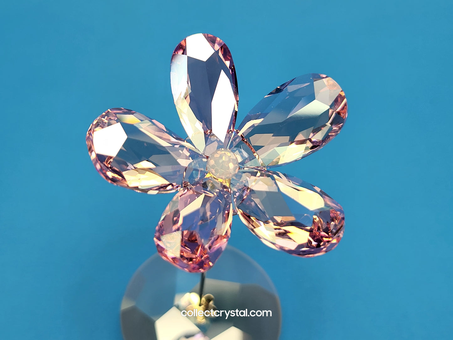 ROCKING FLOWER – LOU ROSE 1016277