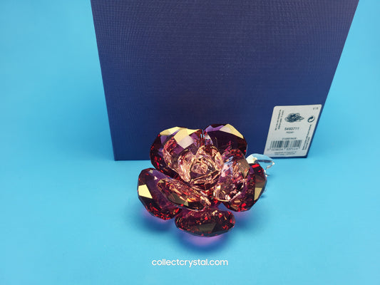 PARADISE FLOWERS – PEONY 2020 ISSUE 5493711 / 5688516