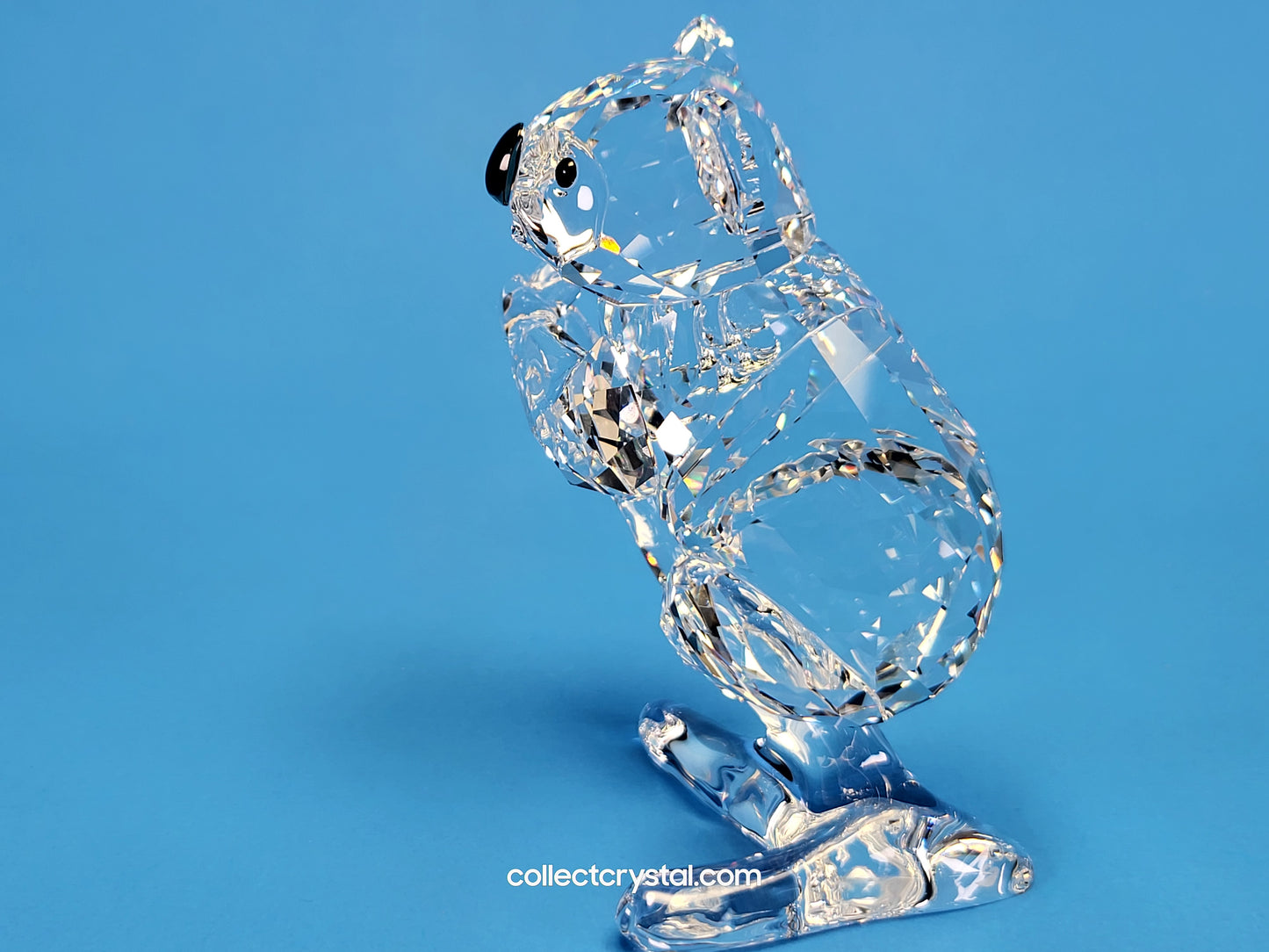 KOALA (2017) 5271914