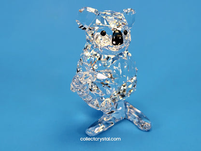 KOALA (2017) 5271914