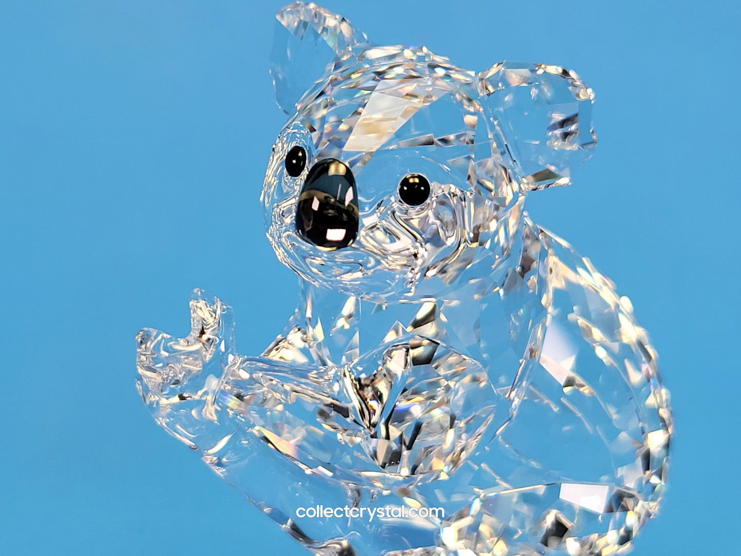 KOALA (2017) 5271914