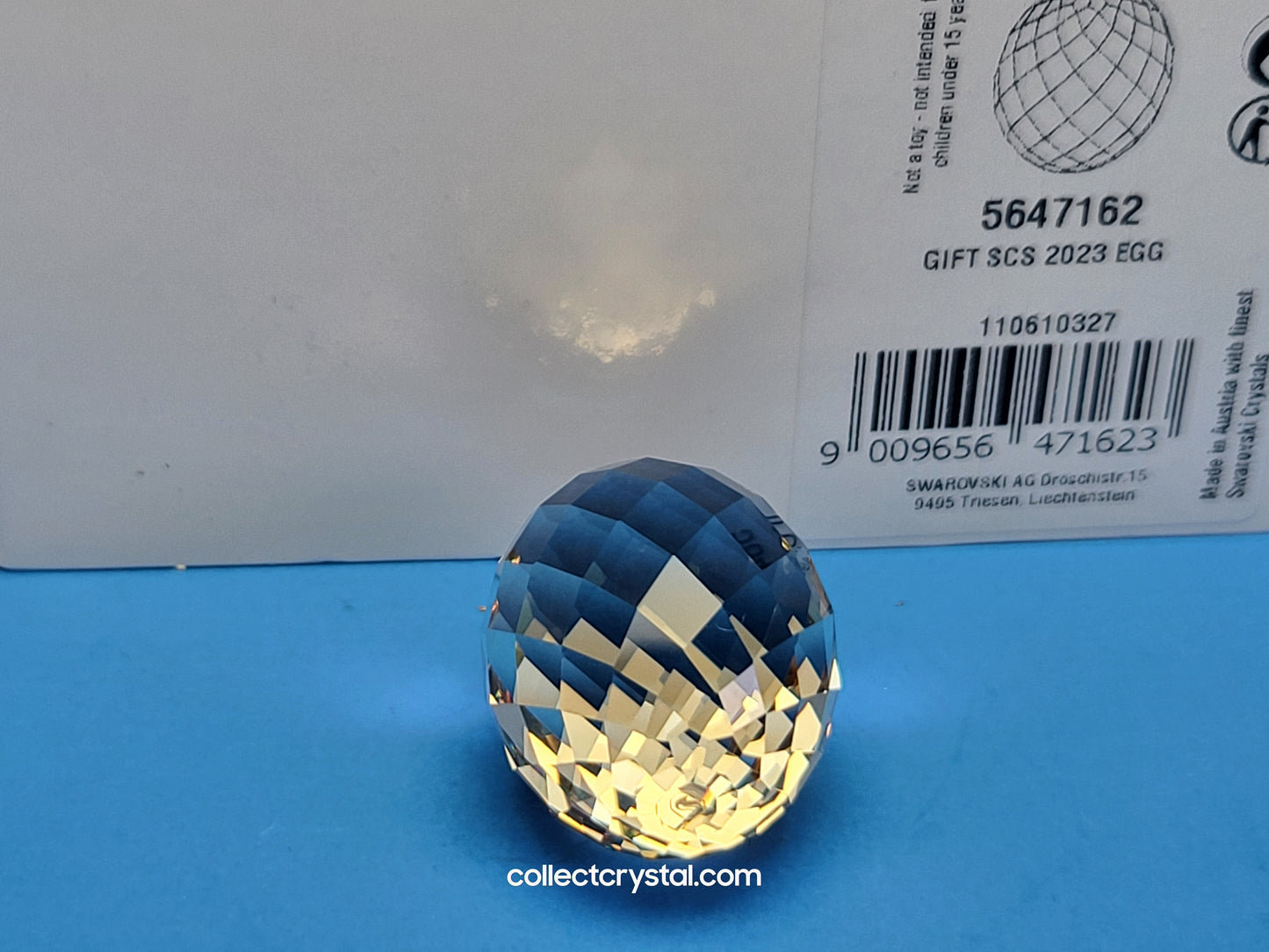 OSTRICH EGG 5647162 2023 JOINING/RENEWAL GIFT