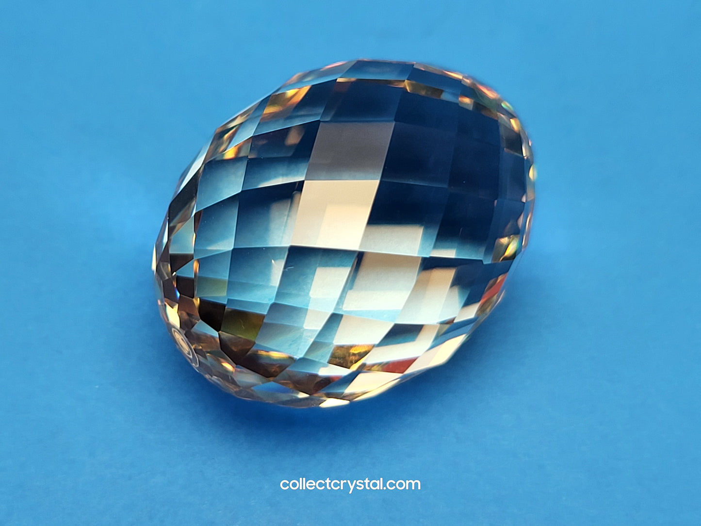 OSTRICH EGG 5647162 2023 JOINING/RENEWAL GIFT