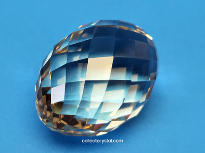 OSTRICH EGG 5647162 2023 JOINING/RENEWAL GIFT