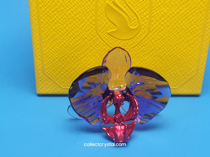 SCS IDYLLIA Orchid Petal FLOWER # 5669354, NOS