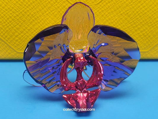 SCS IDYLLIA Orchid Petal FLOWER # 5669354, NOS