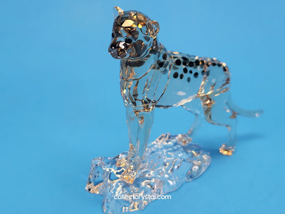 ELEGANCE OF AFRICA CHEETAH BABY JABARI 5636484