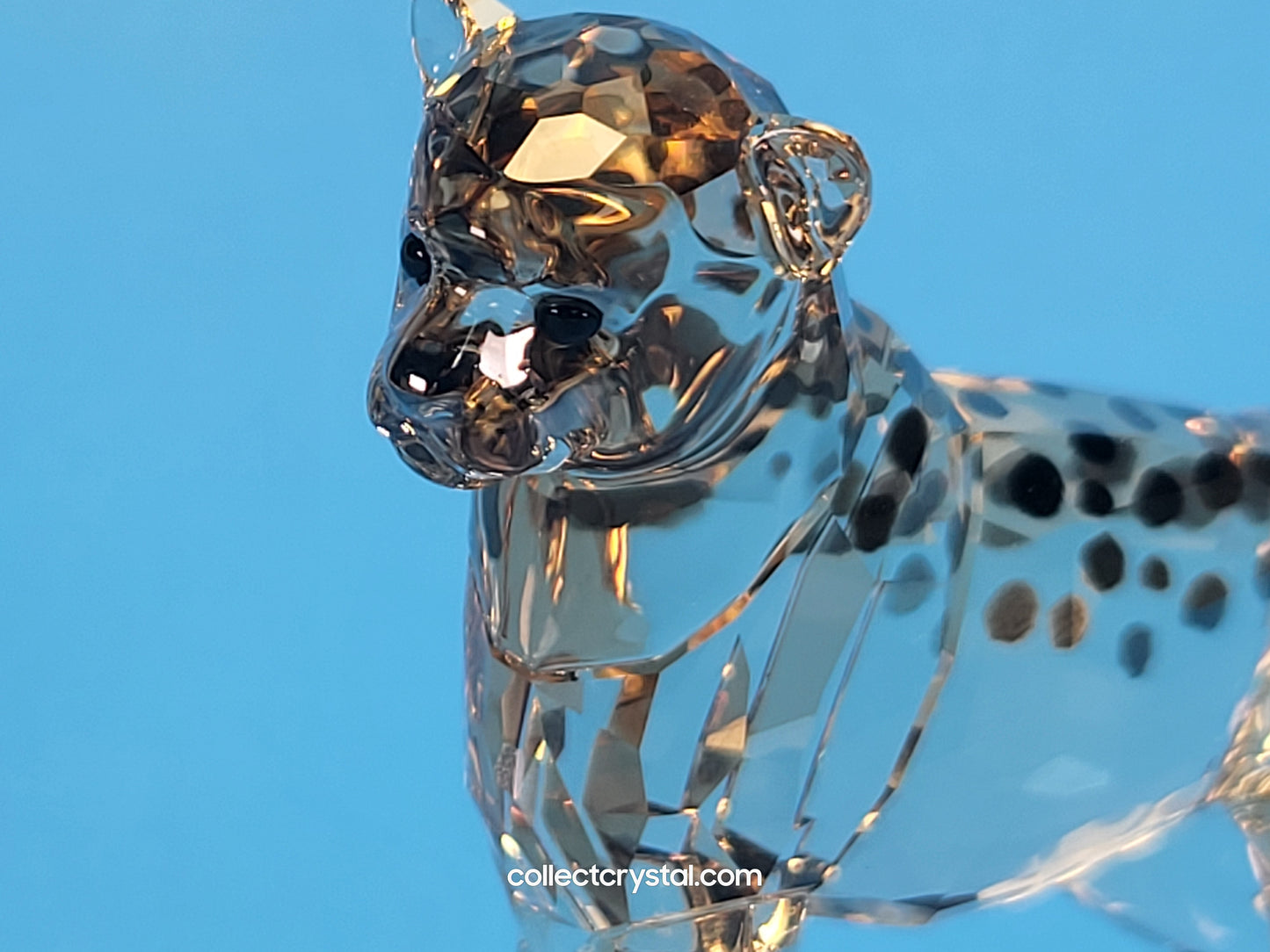 ELEGANCE OF AFRICA CHEETAH BABY JABARI 5636484