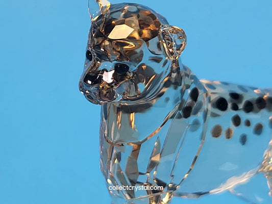 ELEGANCE OF AFRICA CHEETAH BABY JABARI 5636484