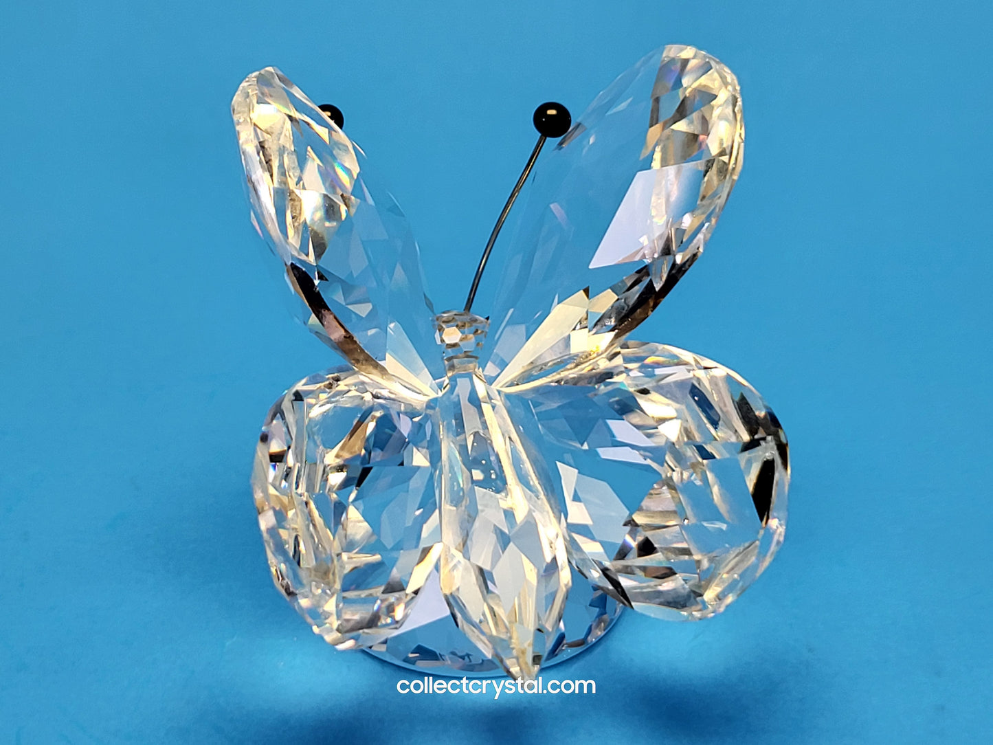 BUTTERFLY LARGE v1 BLACK TIPS ON RHODIUM ANTENNA SMALL NOSE 010002
