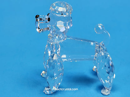 POODLE STANDING V2 CLEAR TAIL 167571