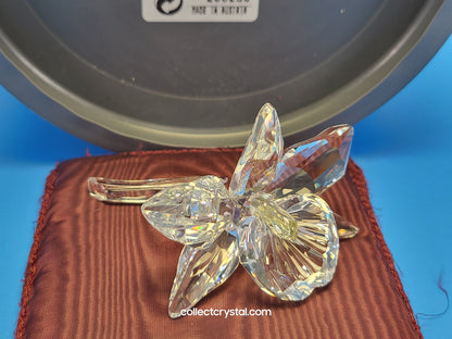 ORCHID FLOWER – YELLOW LIGHT CENTER  # 200280