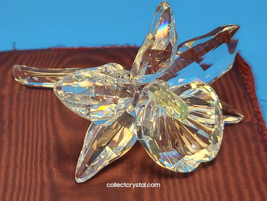 ORCHID FLOWER – YELLOW LIGHT CENTER  # 200280