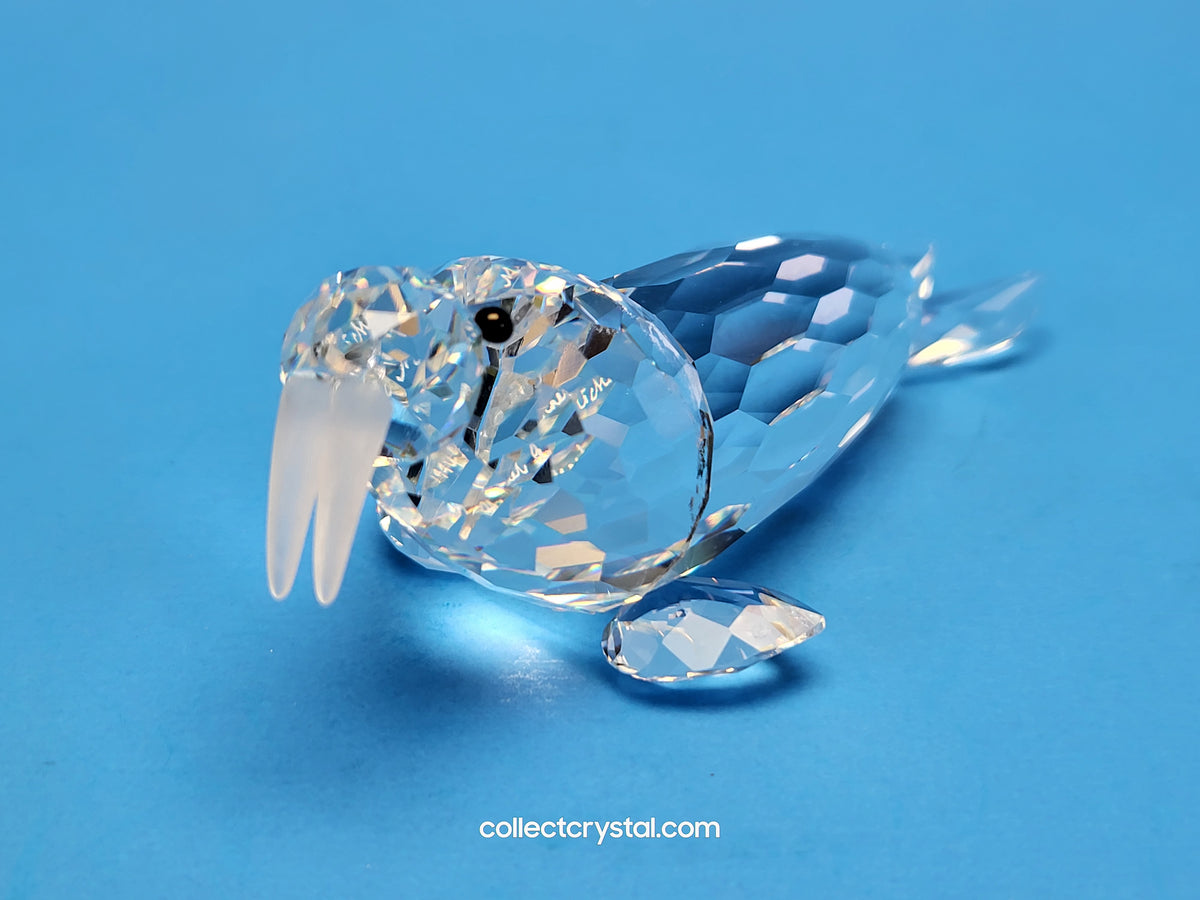 WALRUS 153901