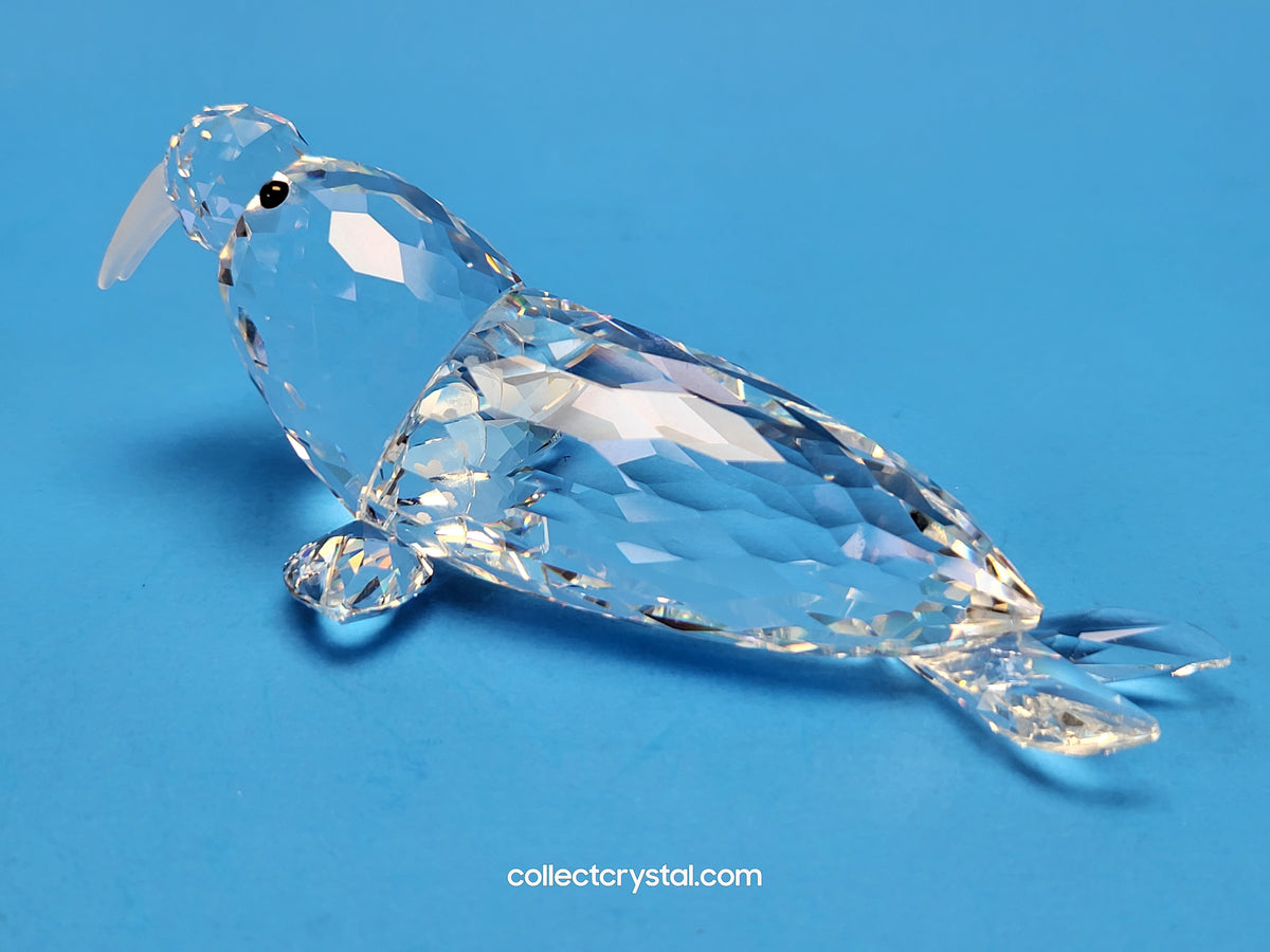 WALRUS 153901