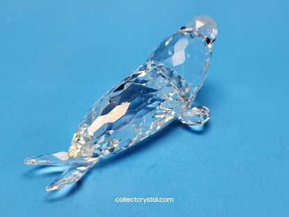 WALRUS 153901