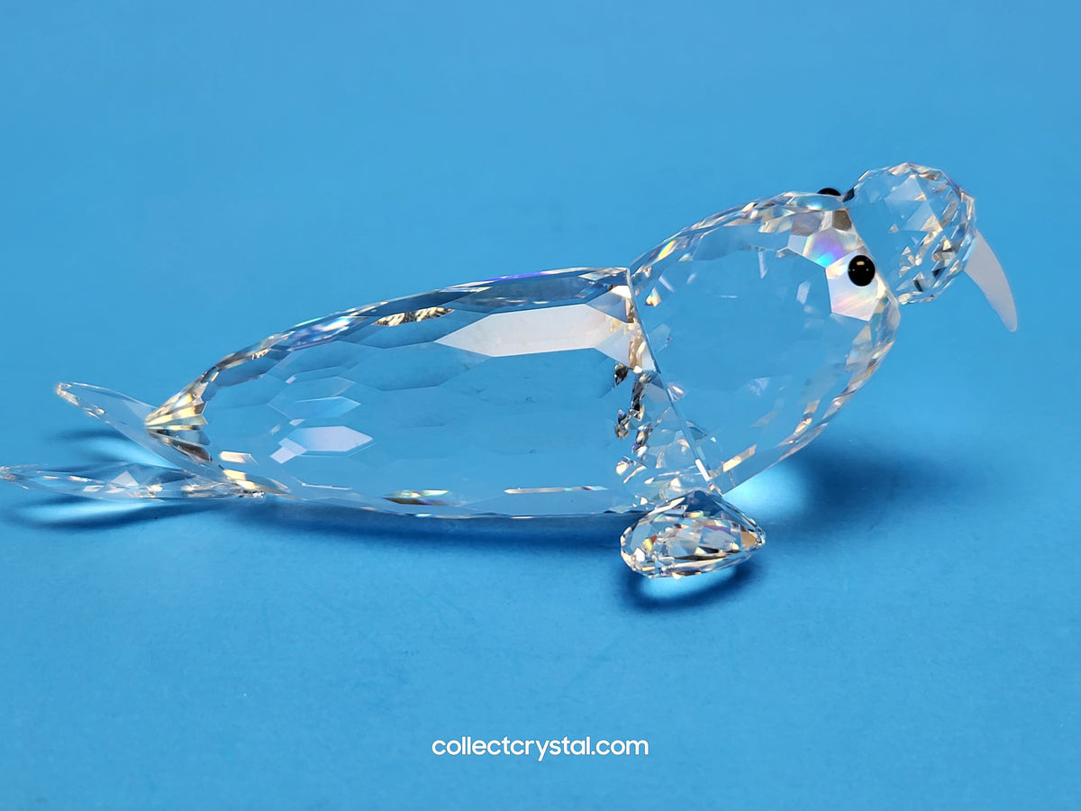 WALRUS 153901