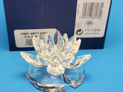 WATERLILY LARGE 838178