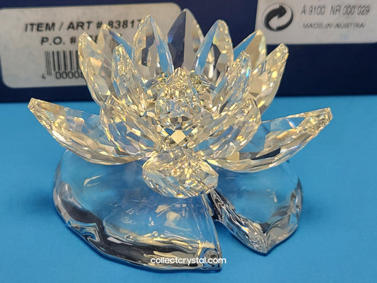 WATERLILY LARGE 838178