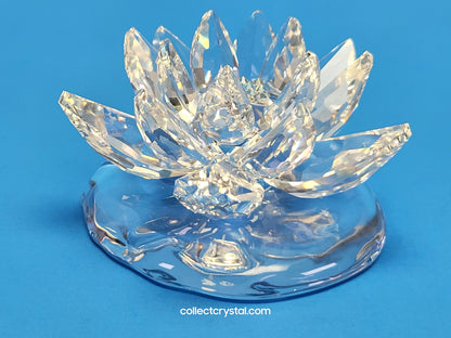 WATERLILY LARGE 838178