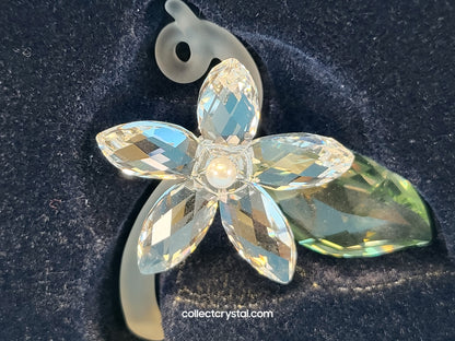 Jasmine Flower Blossom with green leaf # 918440