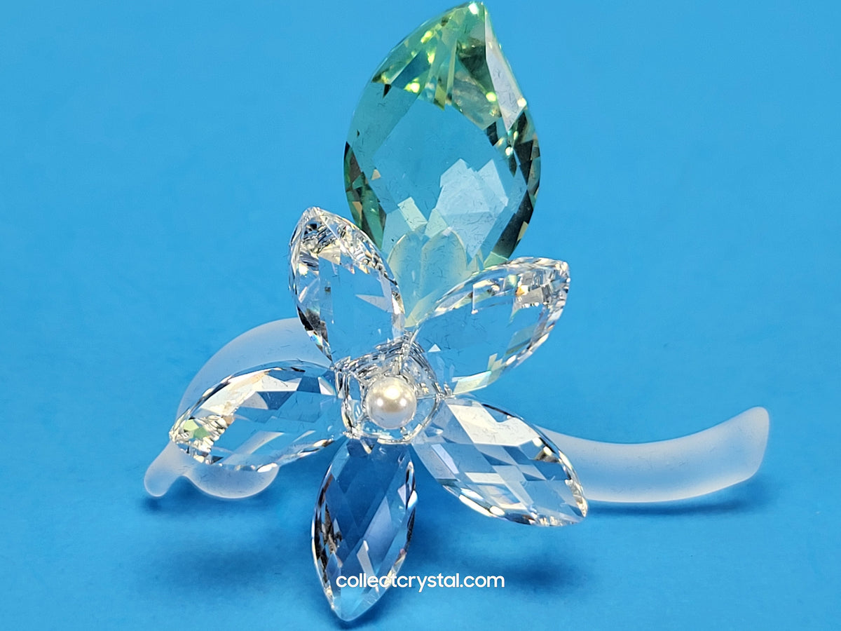 Jasmine Flower Blossom with green leaf # 918440