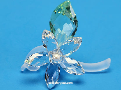 Jasmine Flower Blossom with green leaf # 918440