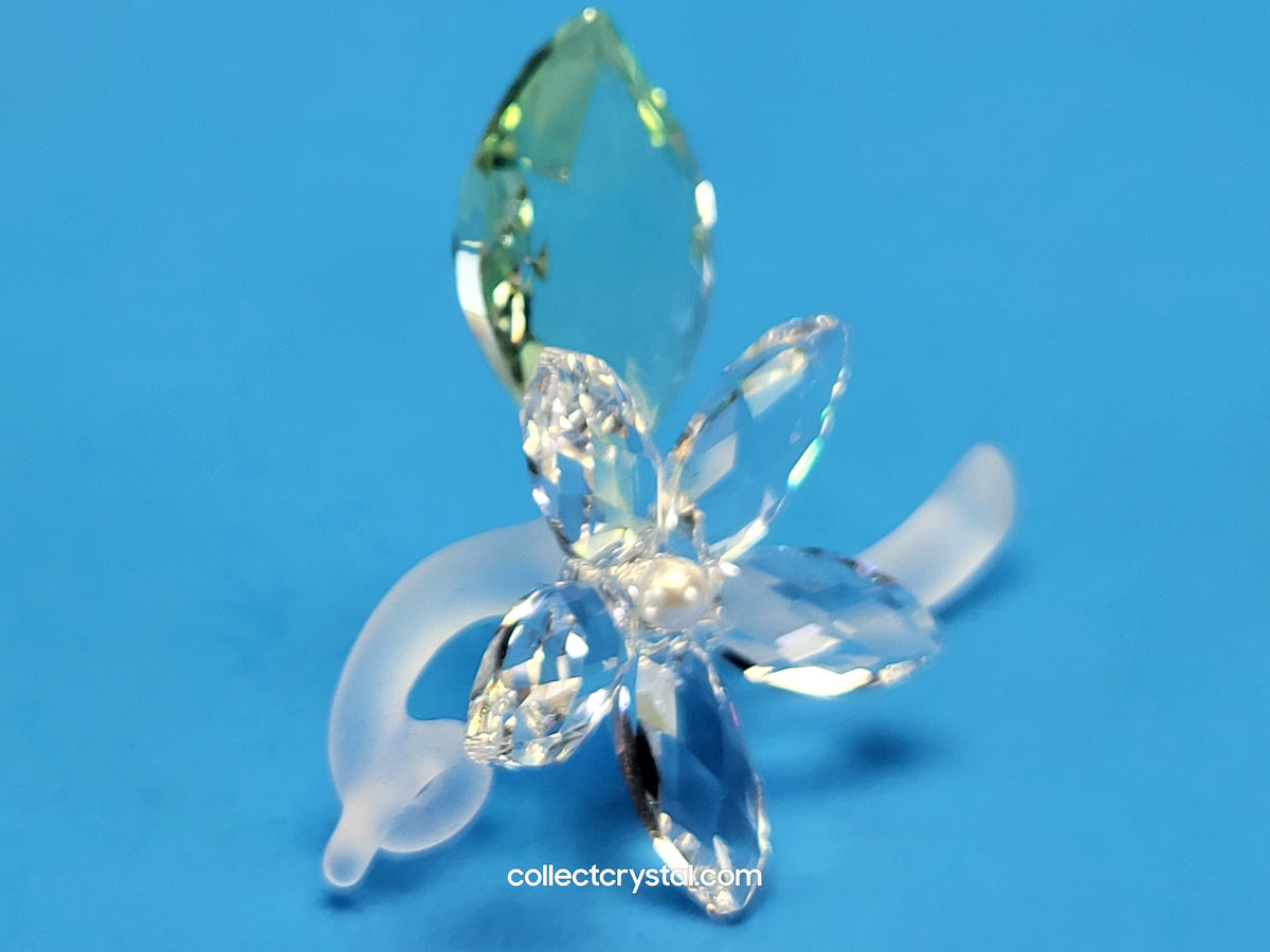 Jasmine Flower Blossom with green leaf # 918440